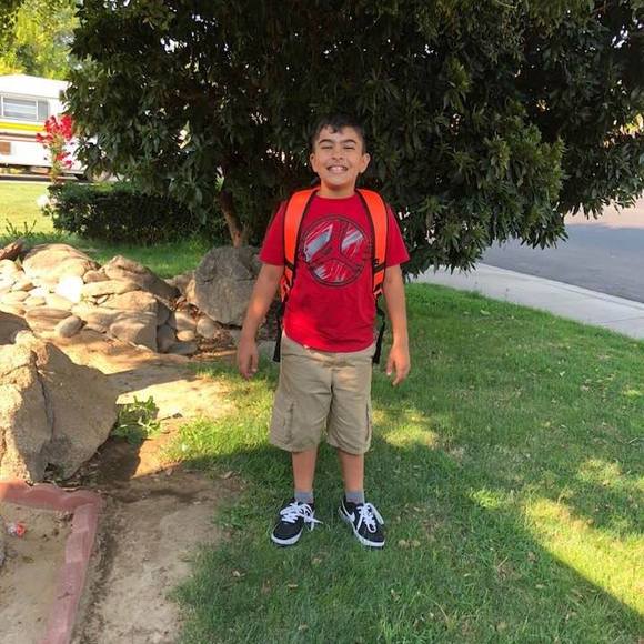 Meet your Posher, Dolfin - Picture 1 of 1